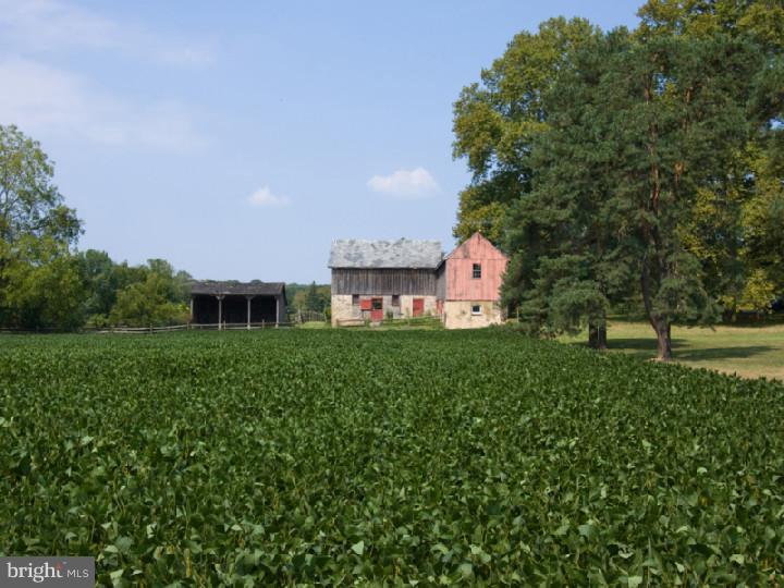2448 Quarry Road Buckingham, PA 18902 - Photo 13 of 24 Gallery Image 13