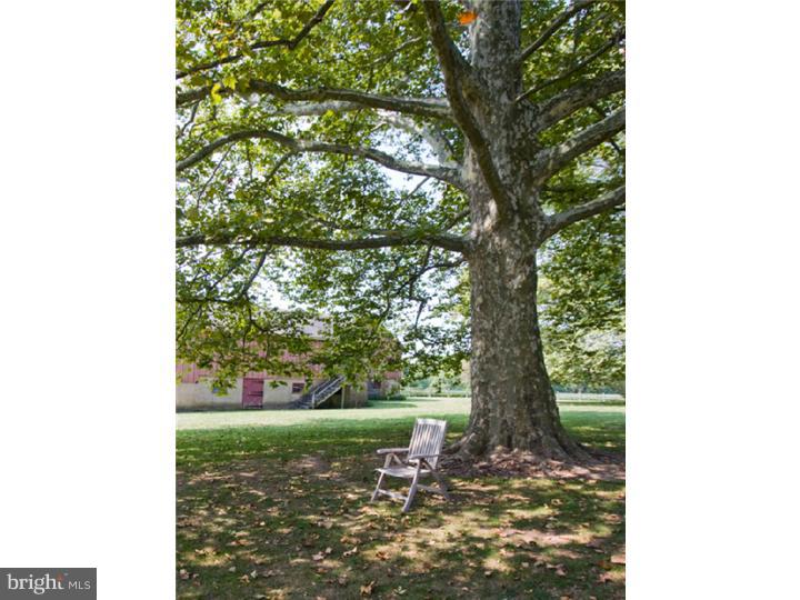 2448 Quarry Road Buckingham, PA 18902 - Photo 19 of 24 Gallery Image 19