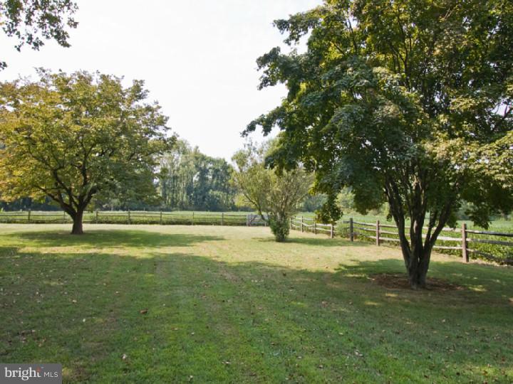 2448 Quarry Road Buckingham, PA 18902 - Photo 24 of 24 Gallery Image 24
