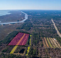 1007 Morants Point Road McClellanville, SC 29458 - Photo 17 of 26 20.3 Acres LHF