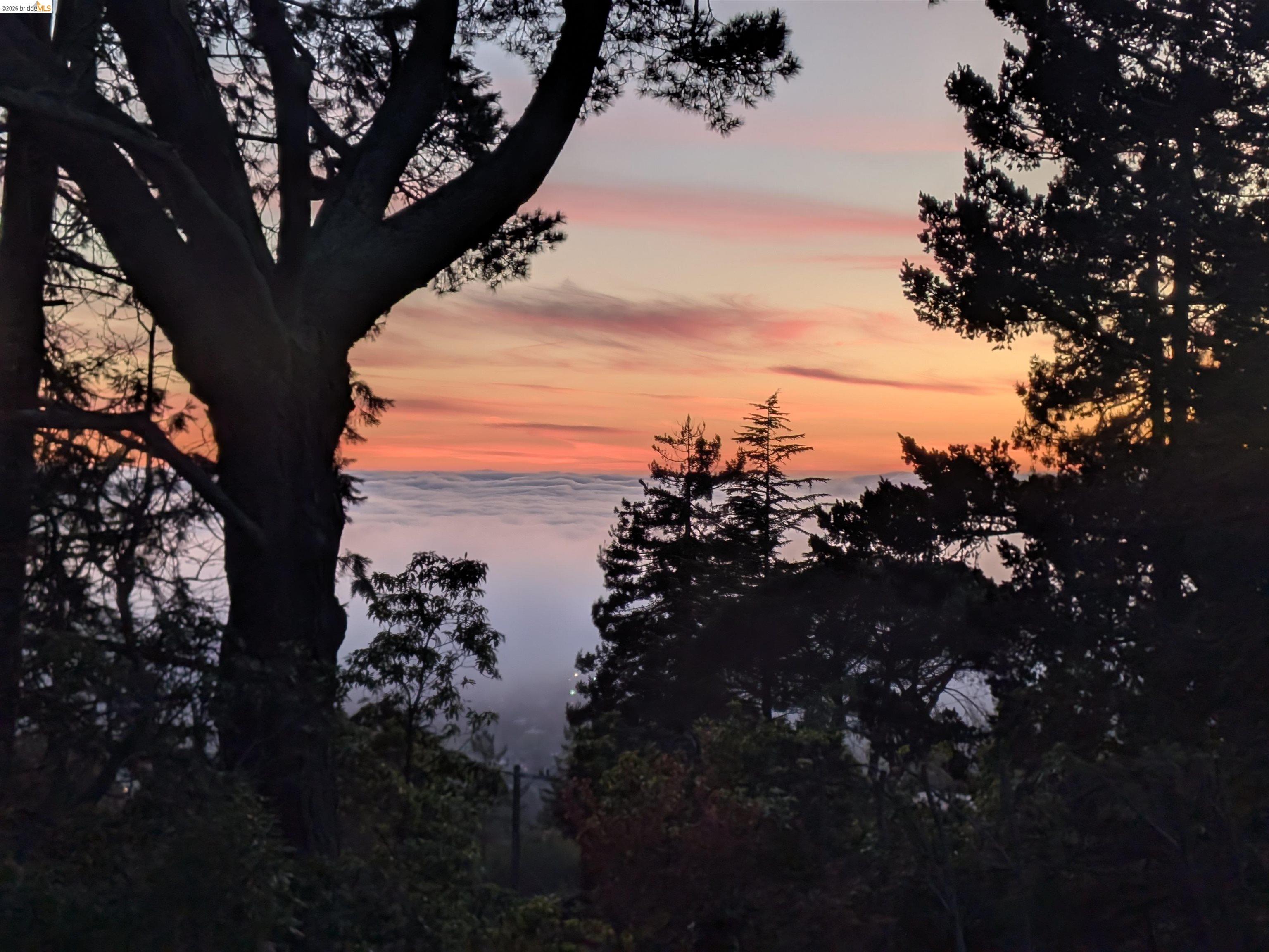 1170 Sterling Avenue Berkeley, CA 94708 - Photo 52 of 52 View of nature at dusk