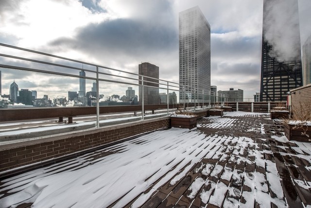 260 East Chestnut Street, Unit 2102 Chicago, IL 60611 - Photo 13 of 15