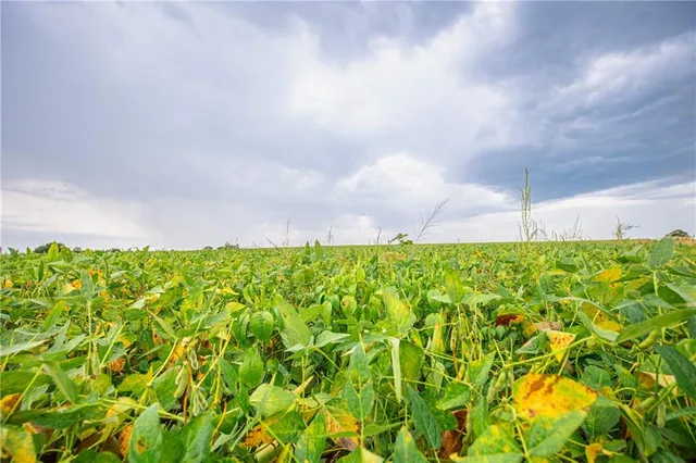 $1,800,000 | 22438 Northwest 2300th Road, Richmond, KS 66080