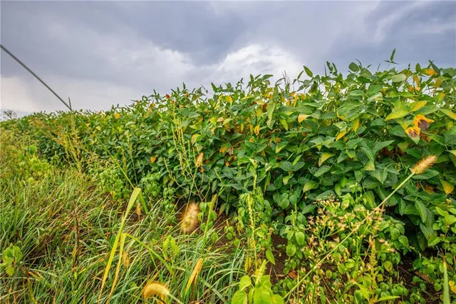 $1,800,000 | 22438 Northwest 2300th Road, Richmond, KS 66080