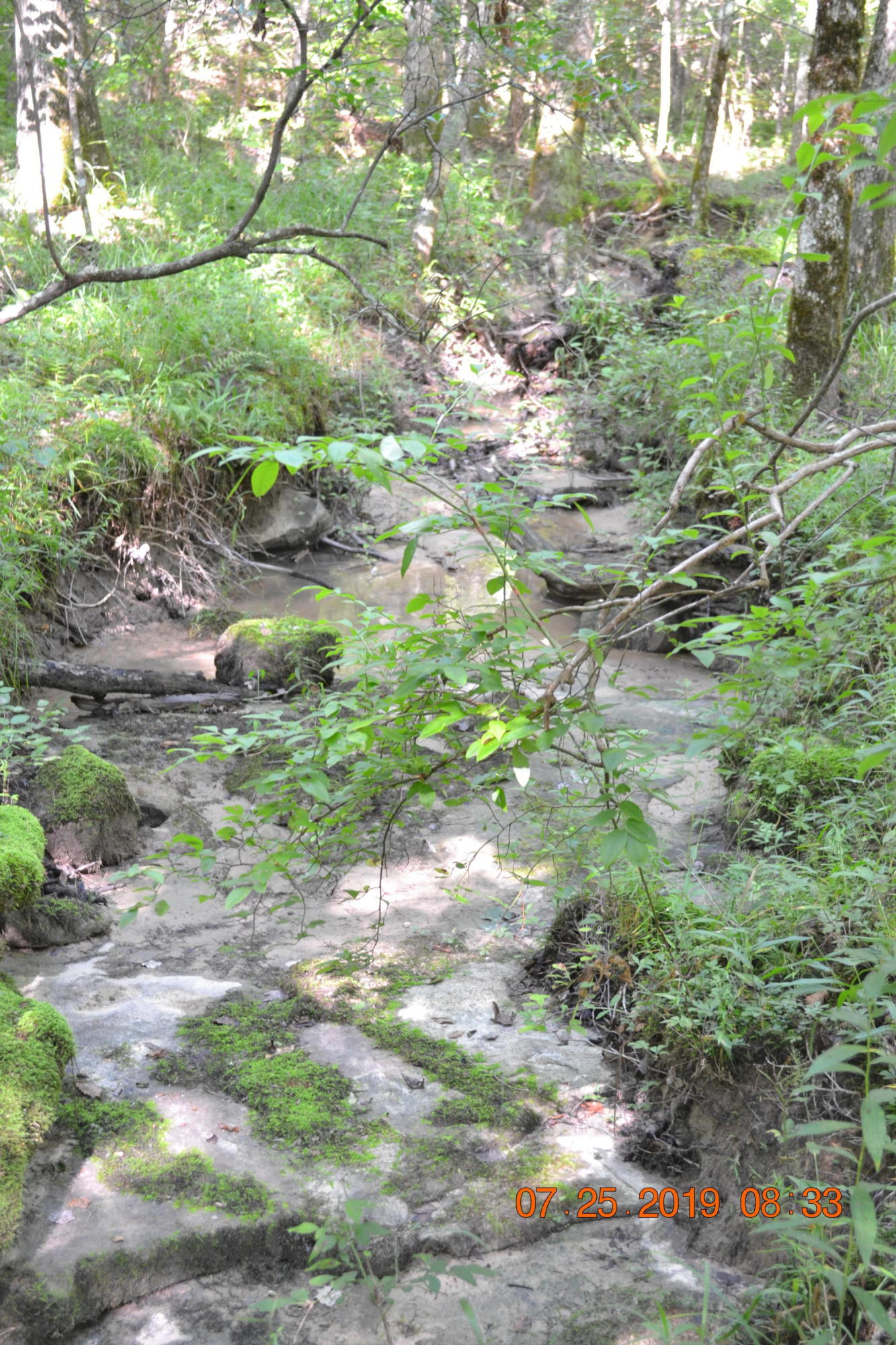 Creek