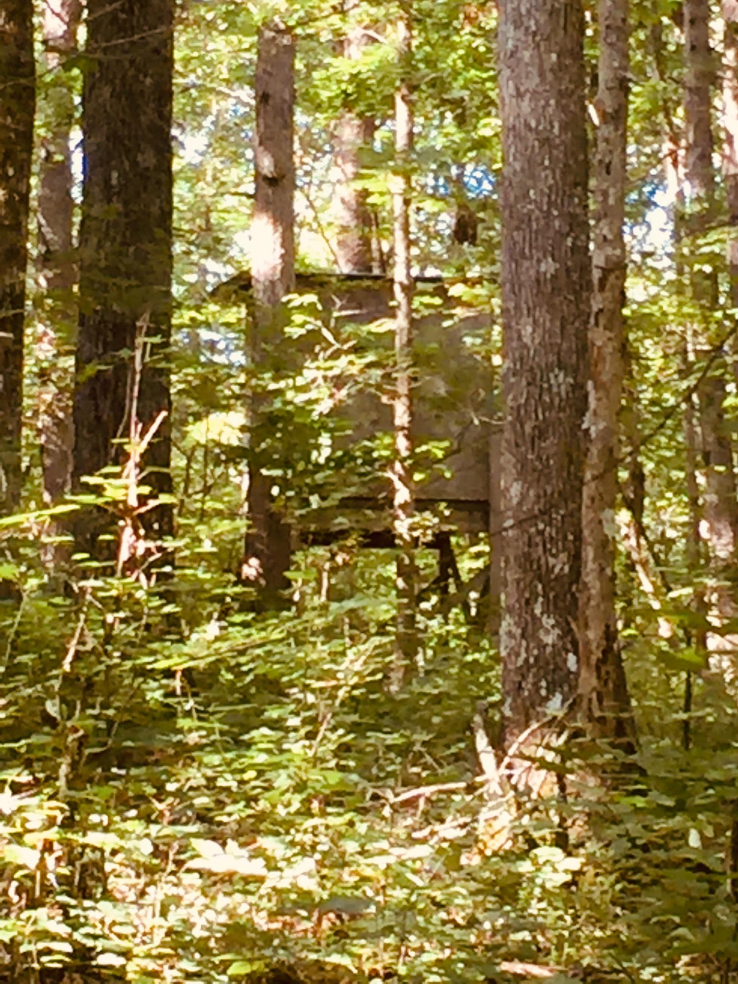 Ridge Road Spencer, TN 38585 - Photo 22 of 22 2019-07-25 09.33.04-2