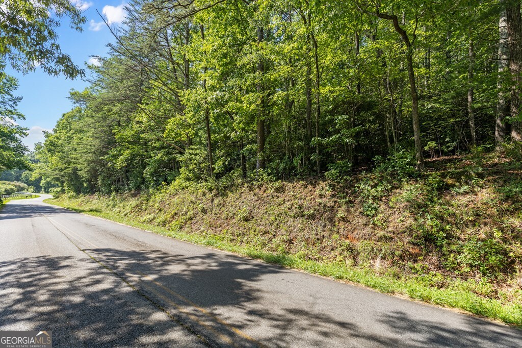 2-ac Ritchie Creek Road Blue Ridge, GA 30513 - Photo 12 of 12