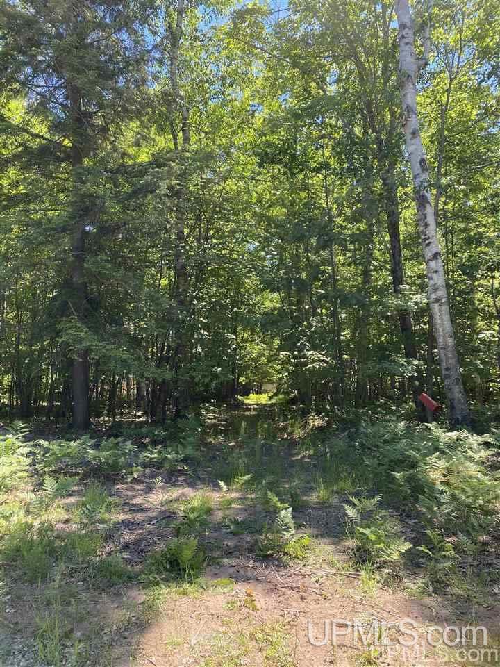3423 Co Road Big Bay, MI 49808 - Photo 24 of 27