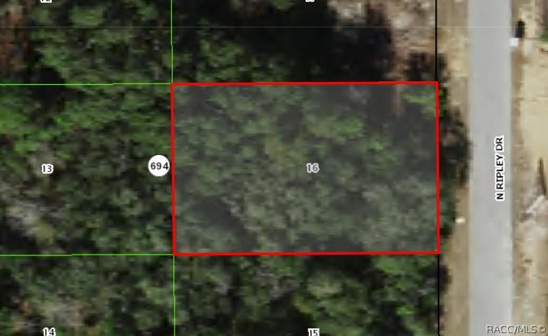 7064 North Ripley Drive Dunnellon, FL 34433 - Photo 3 of 5