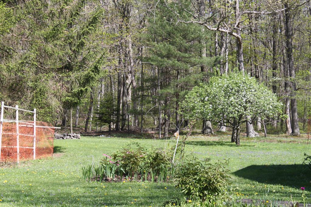 20732 Eagle Foundry Road Broad Top City, PA 16621 - Photo 9 of 29 Gallery Image 9