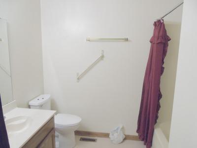 9009 Bramlett Road Harrison, TN 37341 - Photo 7 of 19 Hall bath