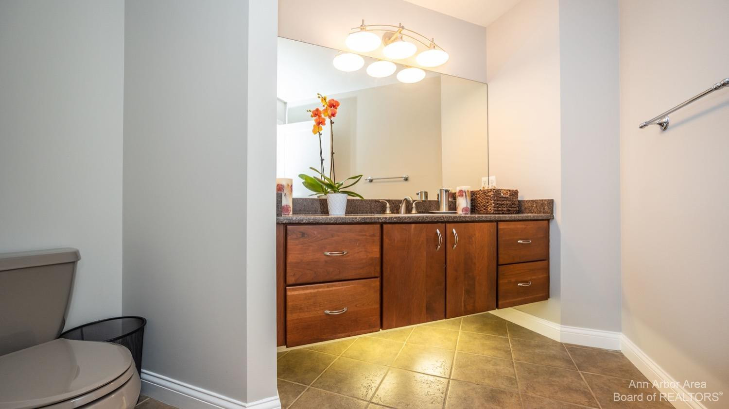 3154 Heather Road Ann Arbor, MI 48108 - Photo 42 of 98 Photo 42