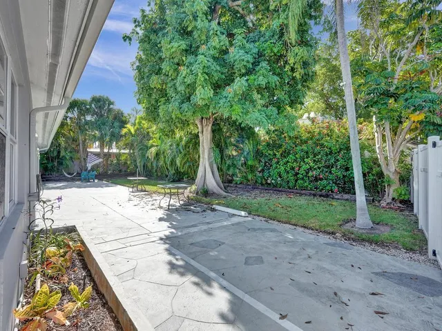 a view of a yard with plants and large trees