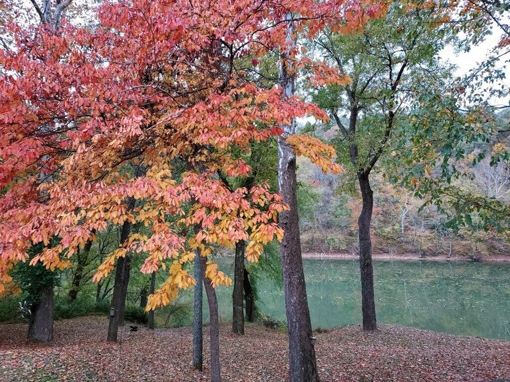 1630 Shore Acres Road Frankfort, KY 40601 - Photo 47 of 66 imagejpeg_0 2