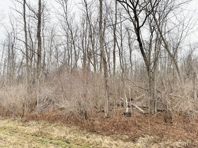 Vl Ridge Road West Albion, NY 14411 - Photo 3 of 6