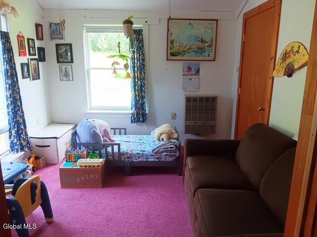 498 Hill Road Worcester, NY 12197 - Photo 20 of 27 3