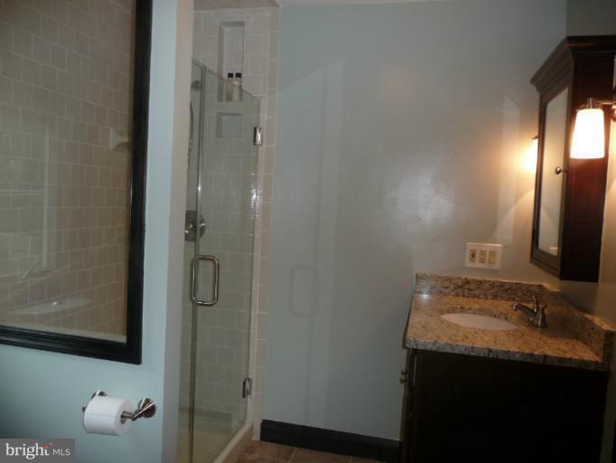 5819 Clearspring Road Baltimore, MD 21212 - Photo 4 of 15 Bath (Master)