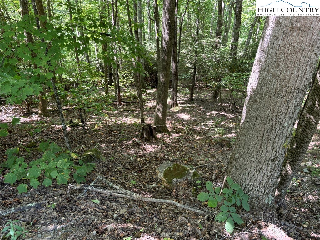 Lot 27 Lost Ridge Trail Vilas, NC 28692 - Photo 2 of 13