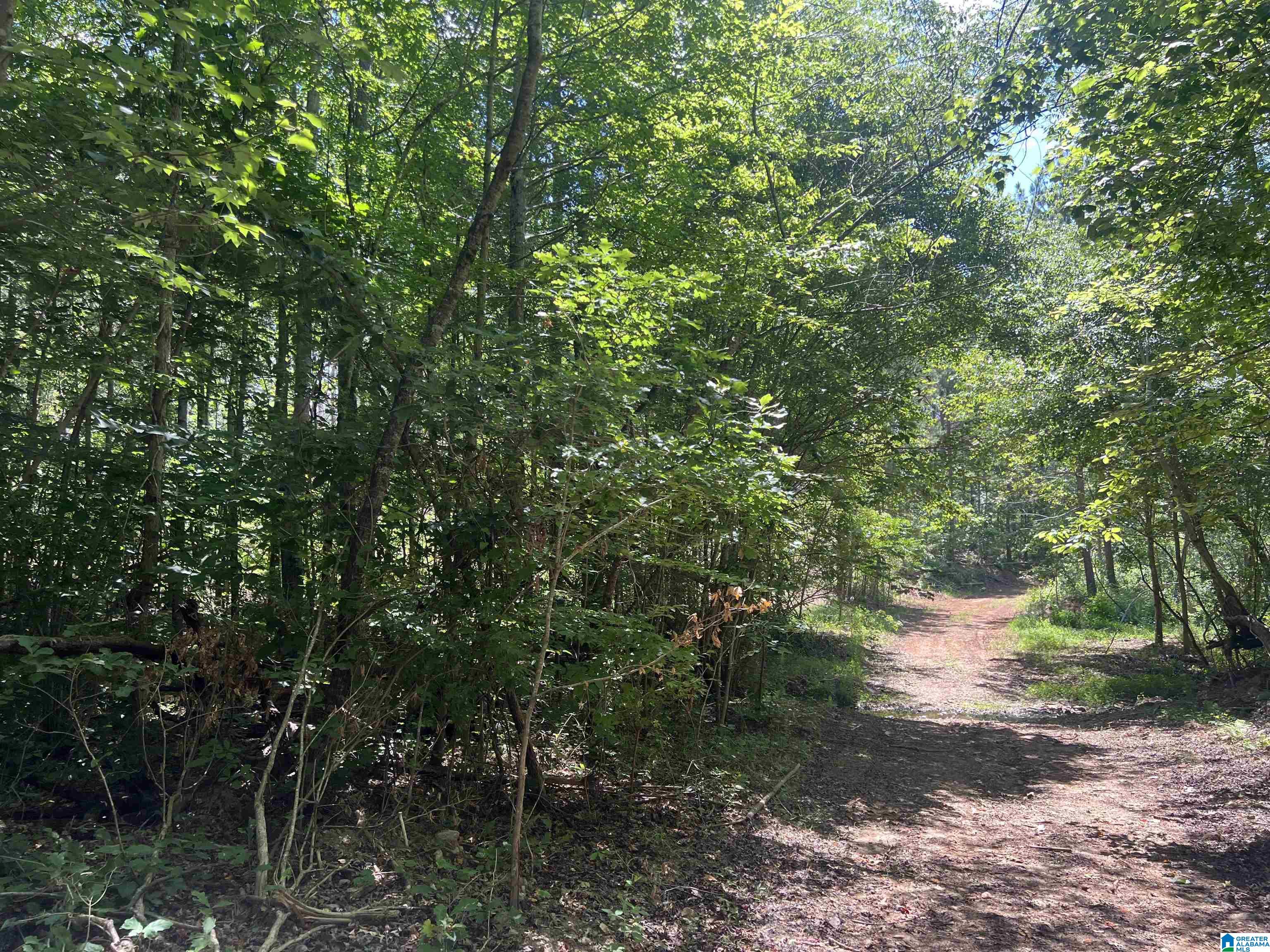 0 County Road 689, Unit 1 Ranburne, AL 36273 - Photo 27 of 69