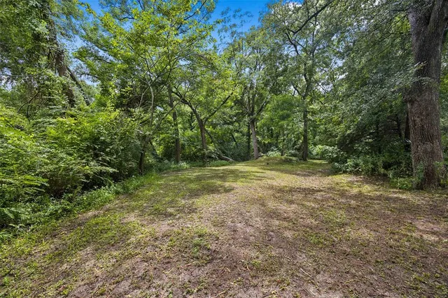 a view of outdoor space and yard