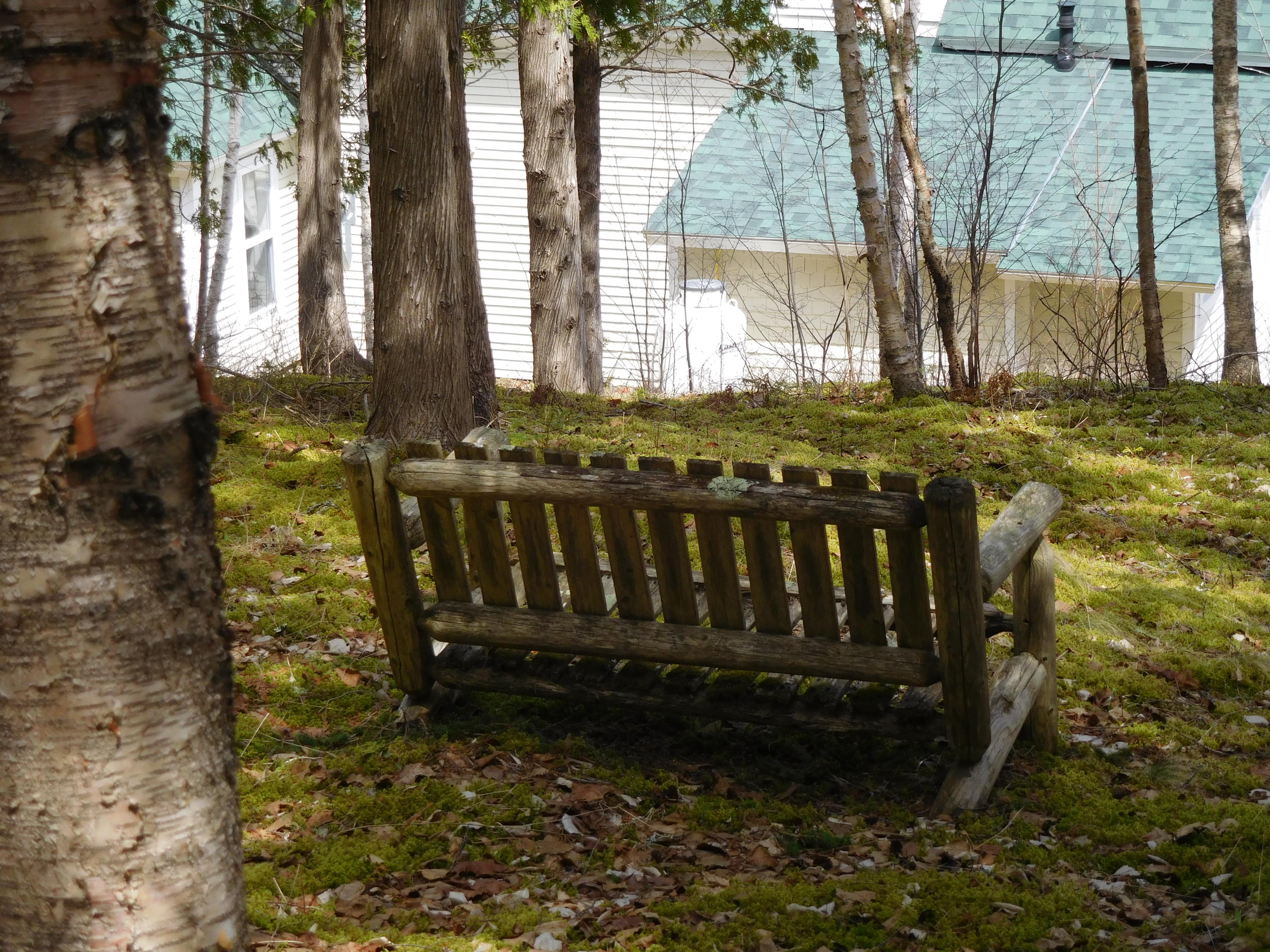 384 North Lubec Road Lubec, ME 04652 - Photo 36 of 38 The bench.