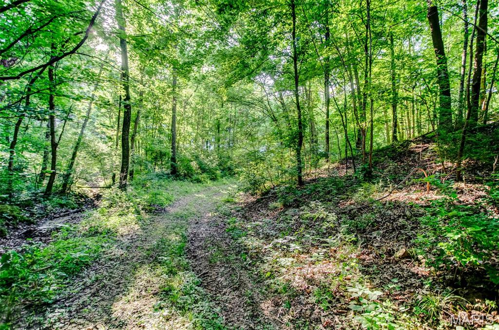 575 Schleeper Hollow Road Hardin, IL 62047 - Photo 39 of 61