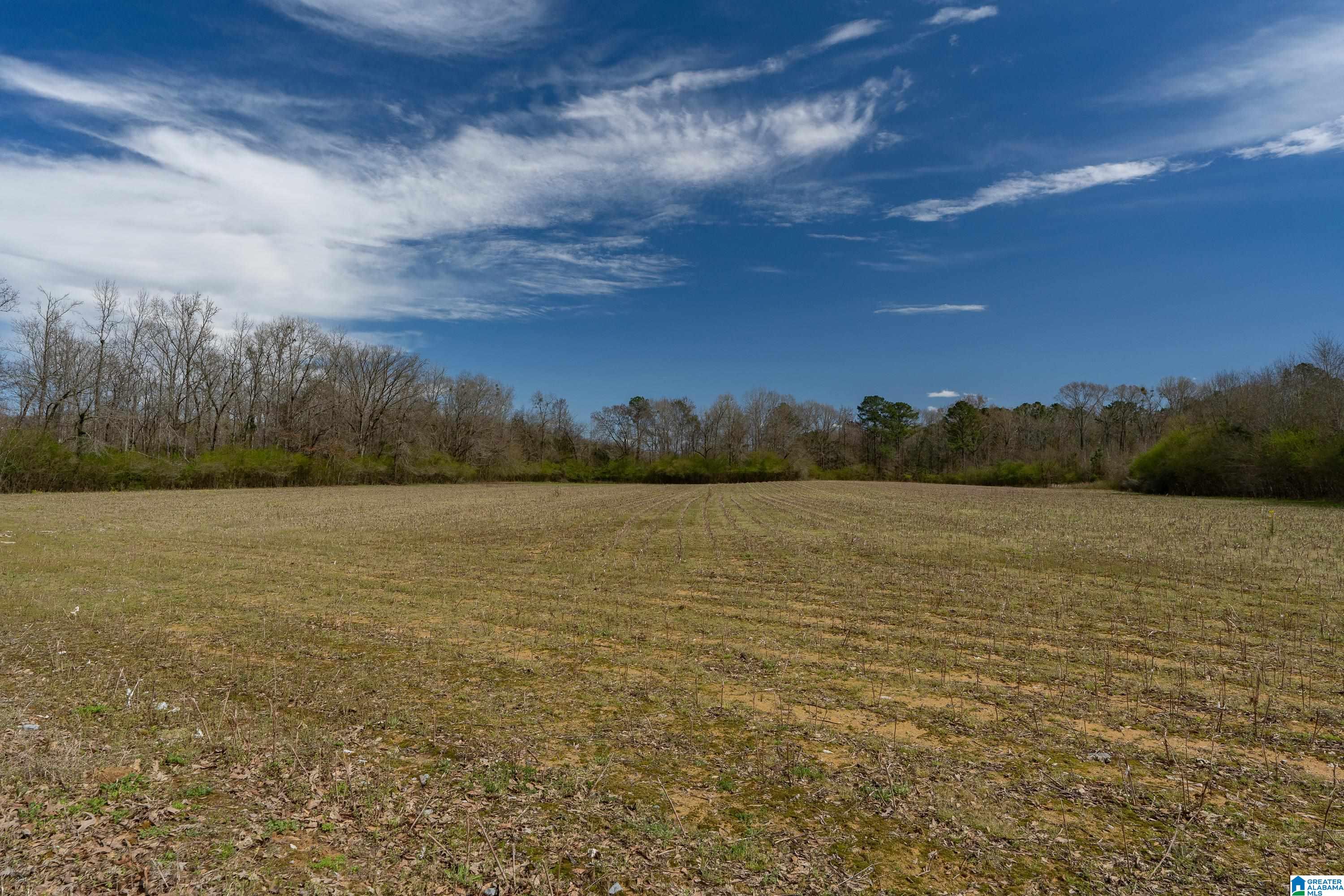 Bates Road, Unit 100 Vincent, AL 35178 - Photo 20 of 29