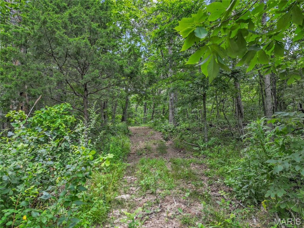 1824 Morre Road Owensville, MO 65066 - Photo 66 of 70