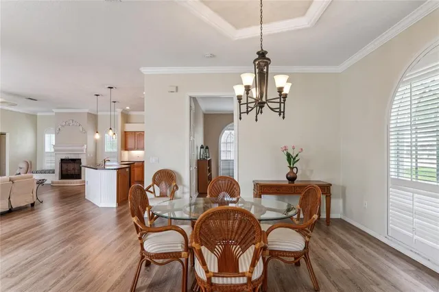 a room with lots of potted plants