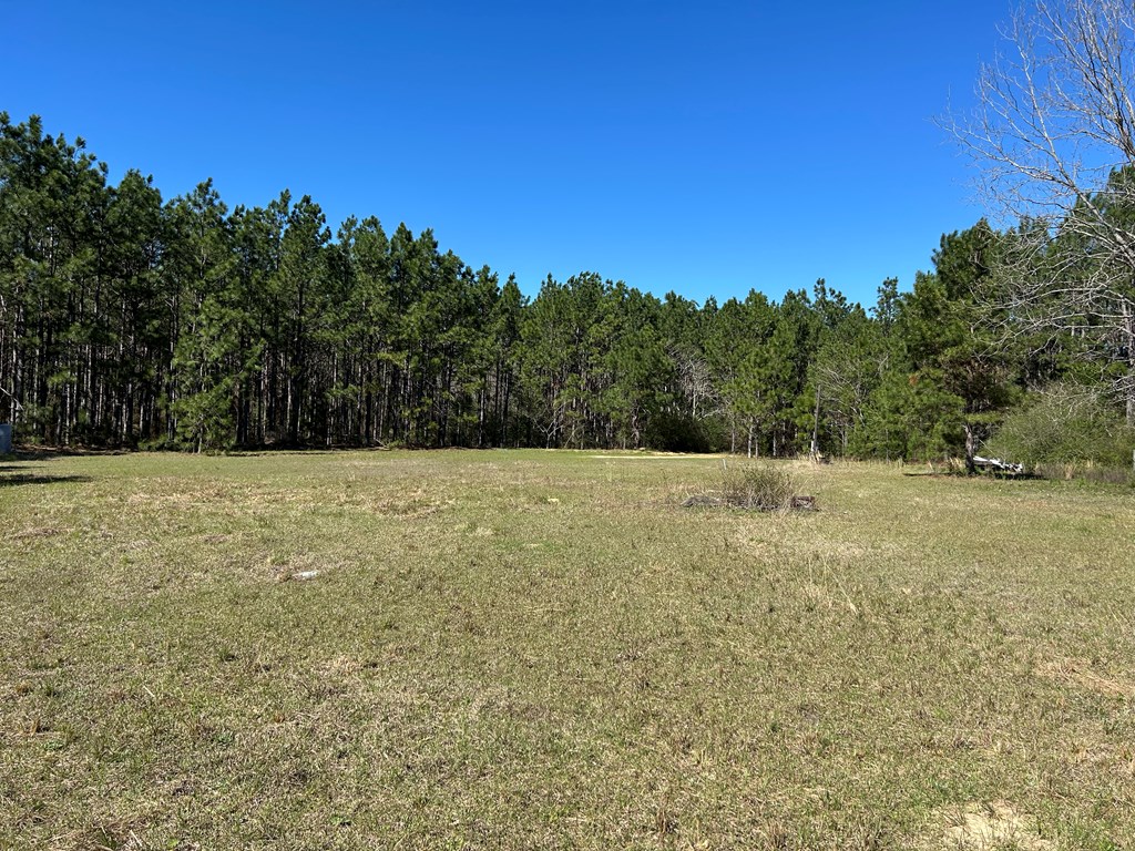 923 Lakeview Road Slocomb, AL 36375 - Photo 21 of 45