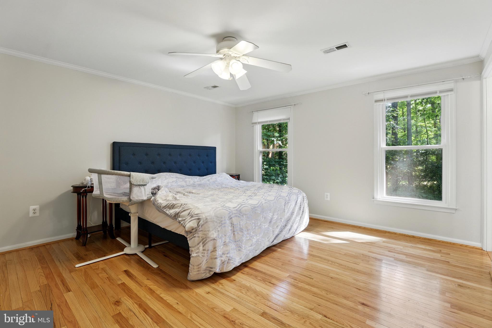 5529 Raider Drive Warrenton, VA 20187 - Photo 18 of 36 Primary bedroom