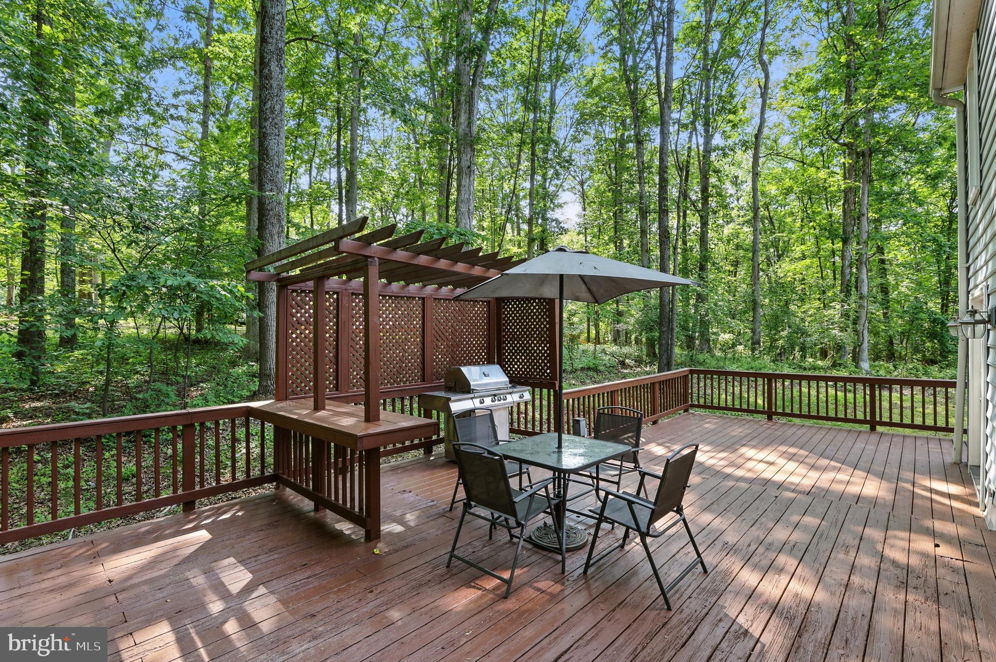 5529 Raider Drive Warrenton, VA 20187 - Photo 29 of 36 Back Deck