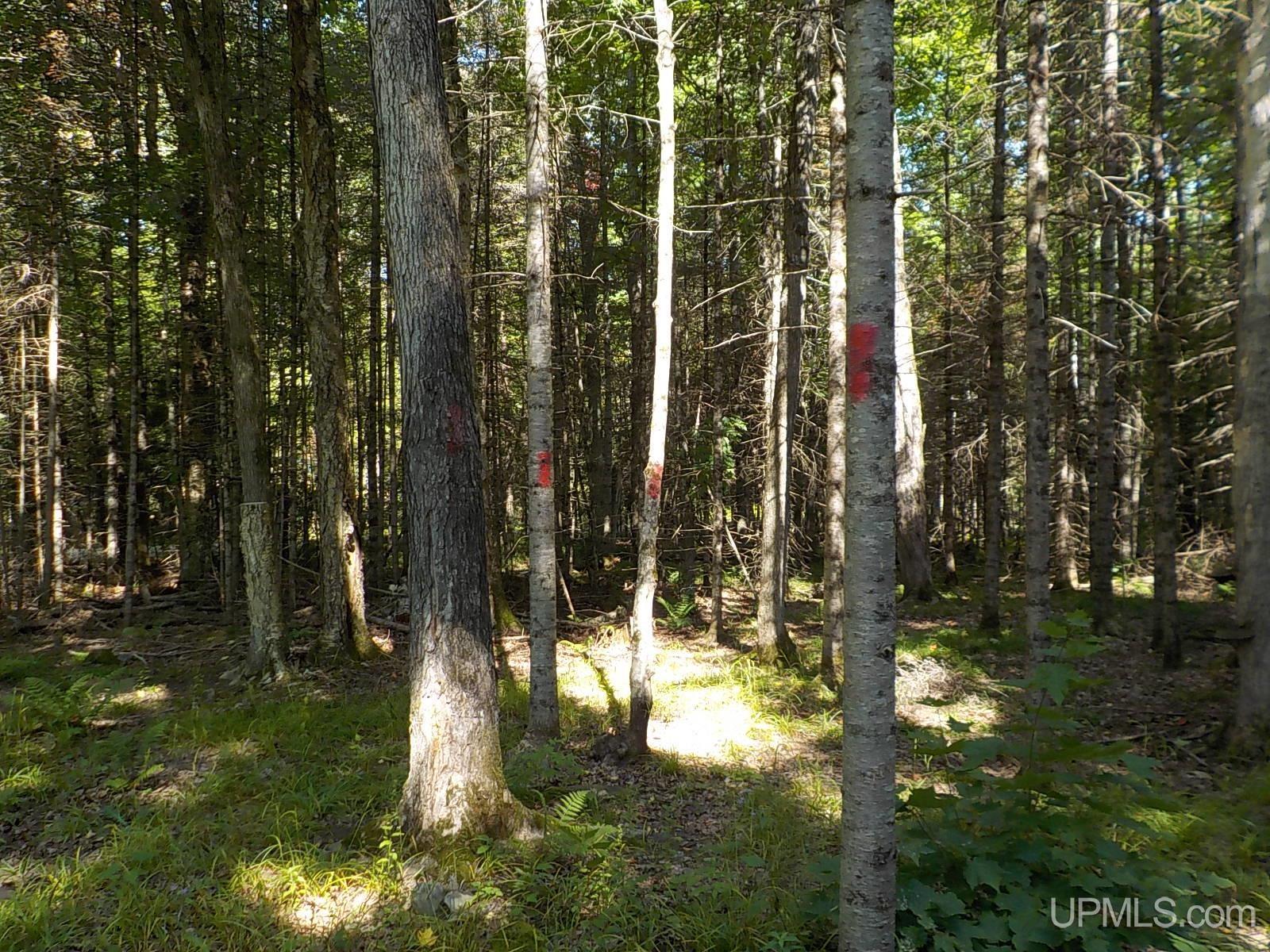 182 Wests Road Crystal Falls, MI 49920 - Photo 15 of 38