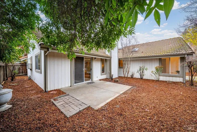 a view of a big yard with large tree