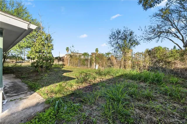a view of a yard with plants and a fountain