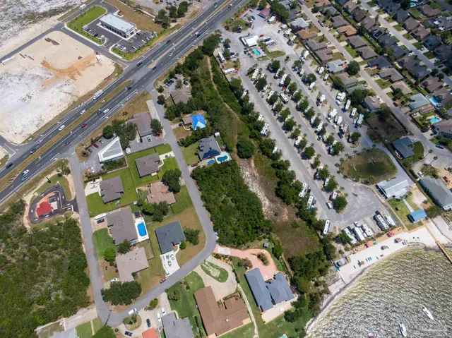 a picture of flowers