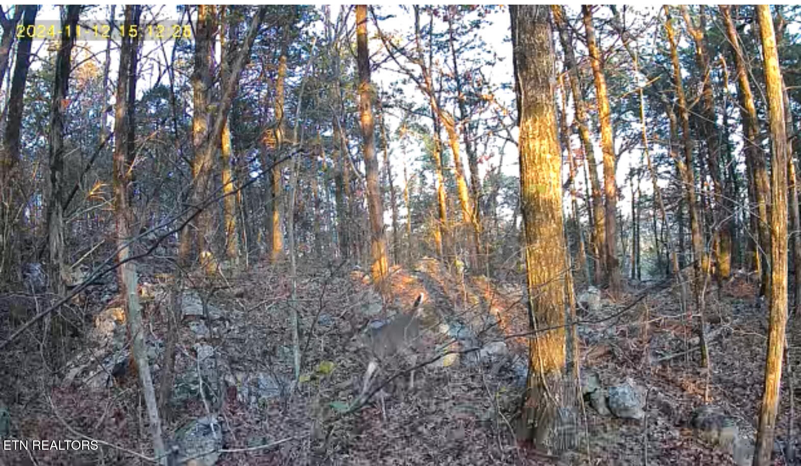 1644 Walker Cove Road Sparta, TN 38583 - Photo 14 of 27 IMG_0999