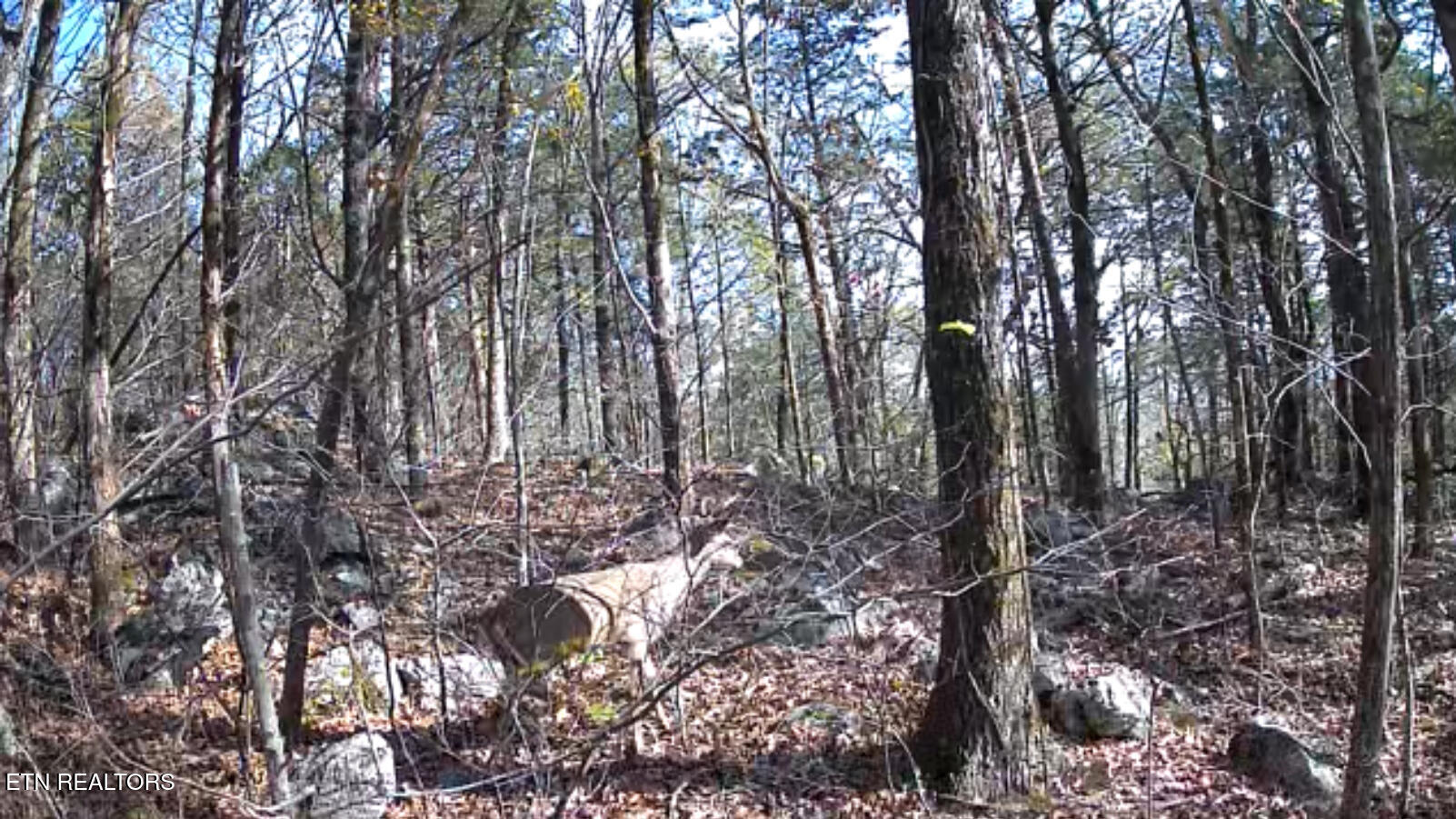 1644 Walker Cove Road Sparta, TN 38583 - Photo 15 of 27 IMG_0997