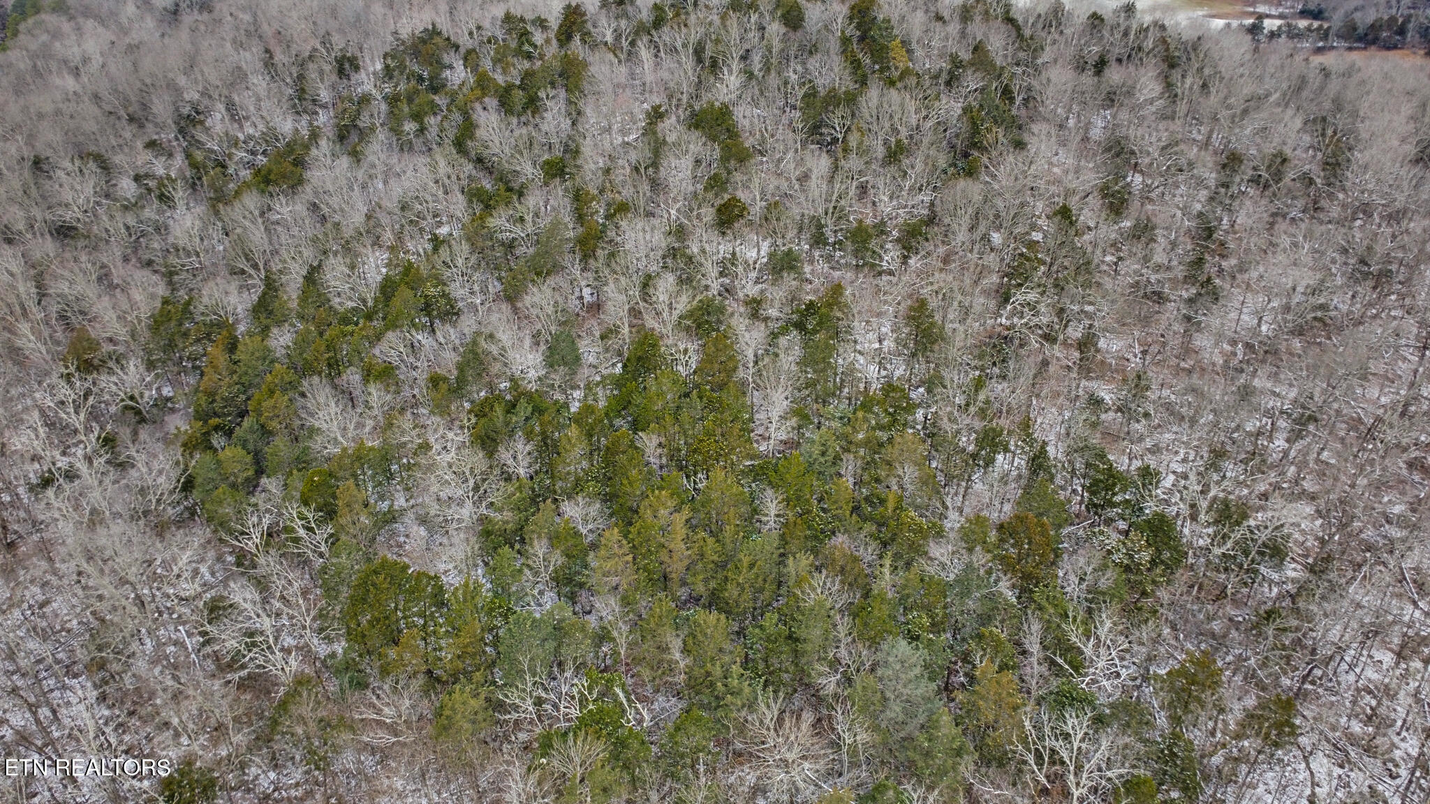 1644 Walker Cove Road Sparta, TN 38583 - Photo 19 of 27 dji_0137-dji_0139