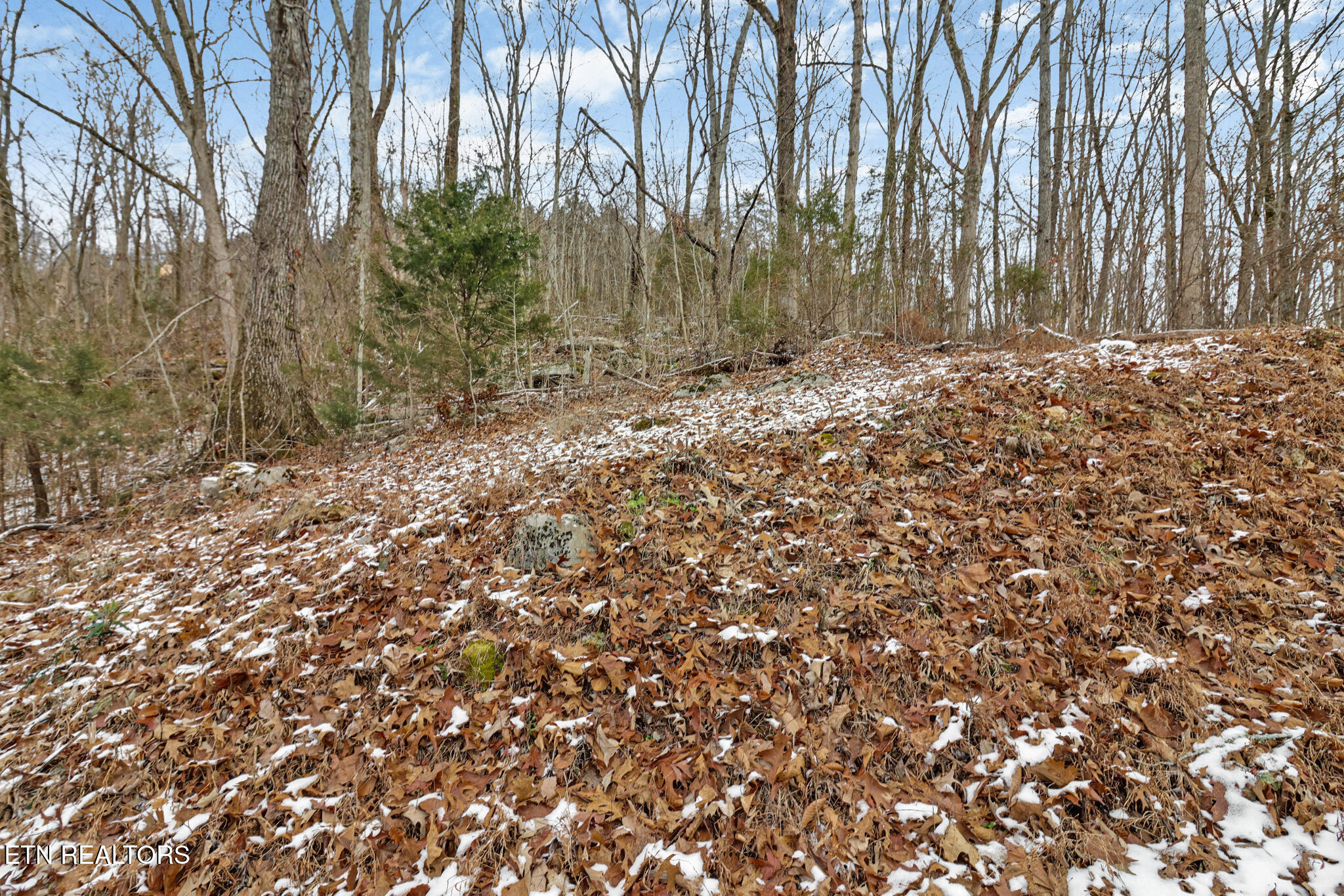 1644 Walker Cove Road Sparta, TN 38583 - Photo 27 of 27 if1a4507-if1a4511