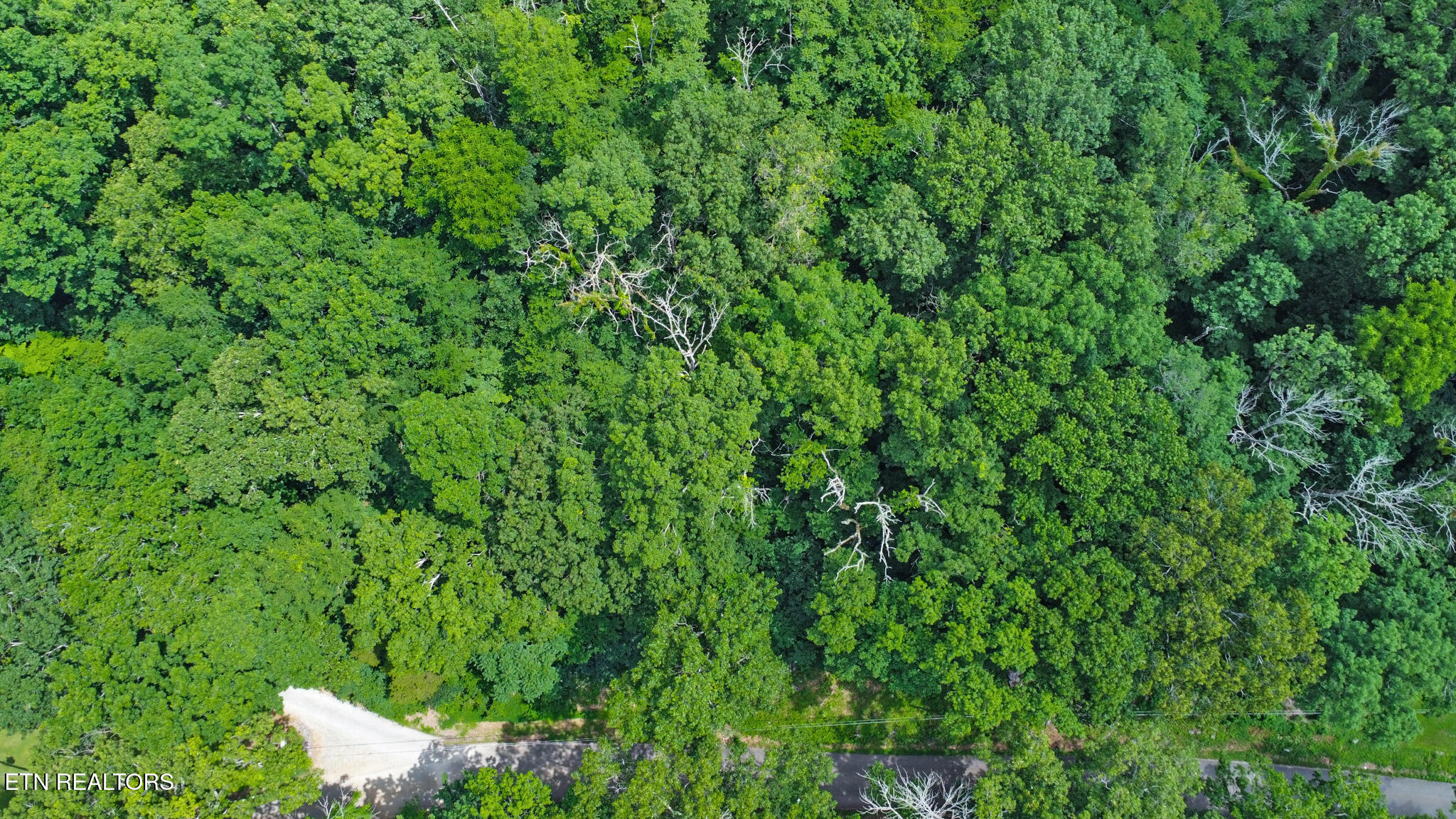 1644 Walker Cove Road Sparta, TN 38583 - Photo 5 of 27 dji_0131-dji_0133 (1)