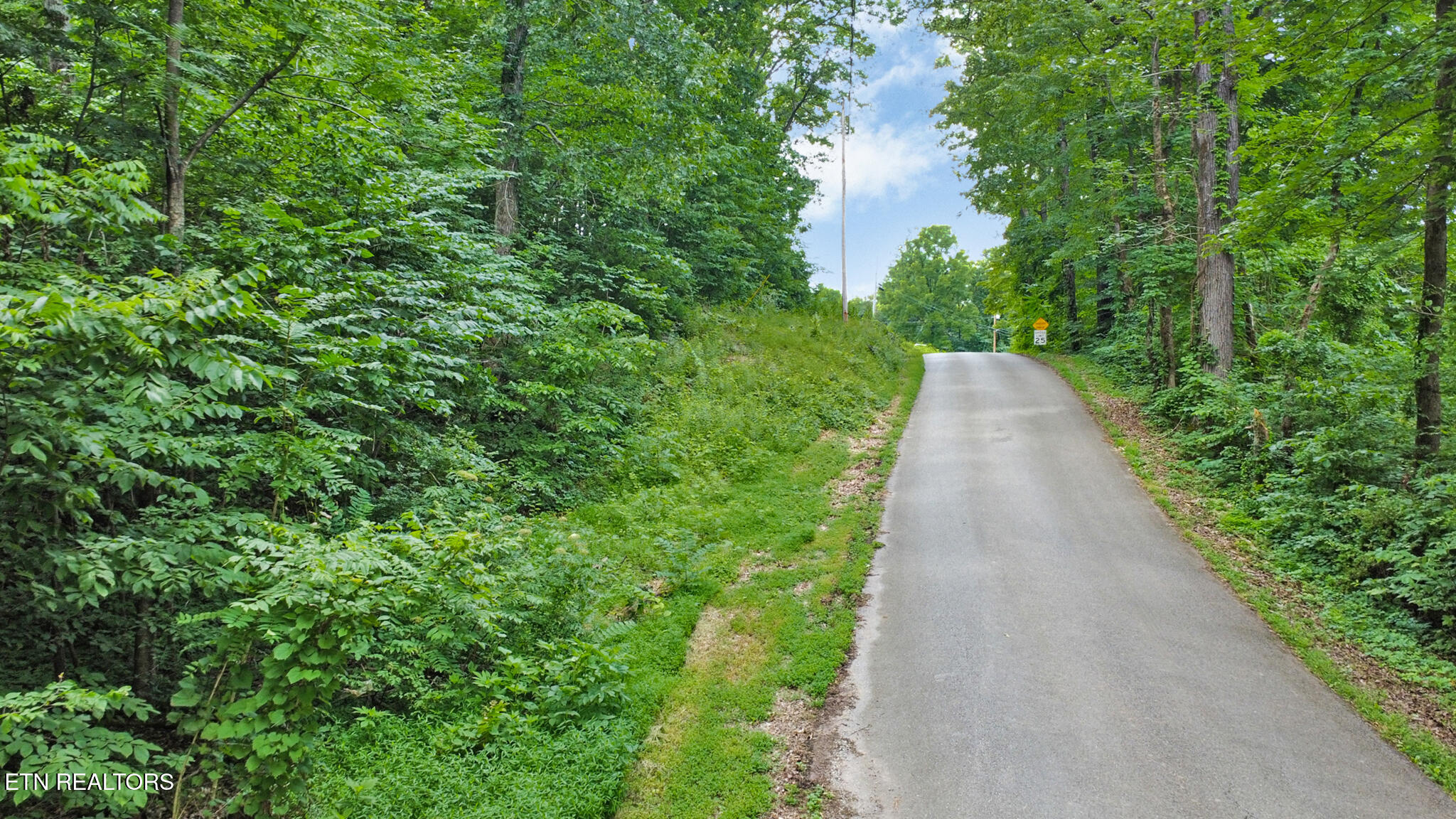 1644 Walker Cove Road Sparta, TN 38583 - Photo 6 of 27 dji_0146-dji_0148 (1)