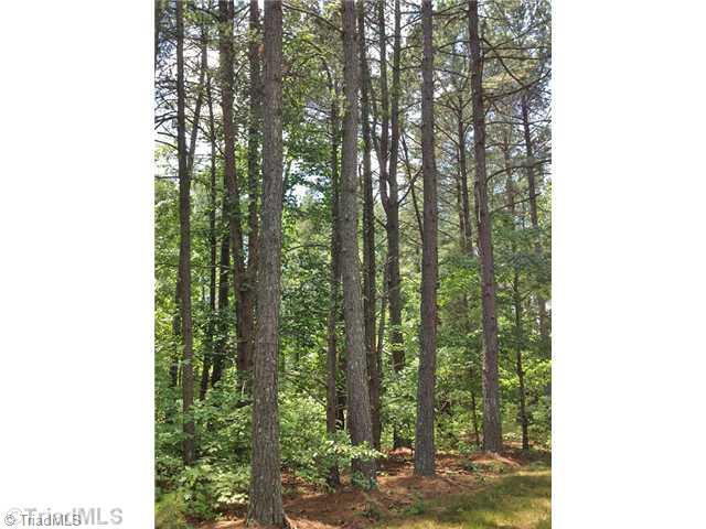 6548 Red Bank Road Winston-Salem, NC 27105 - Photo 5 of 12 Exterior Front. Mature Timber Valued at $43,000