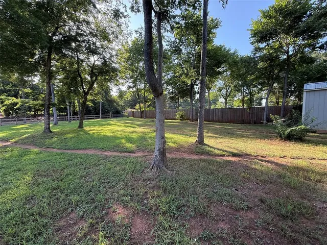 a view of a park with a tree