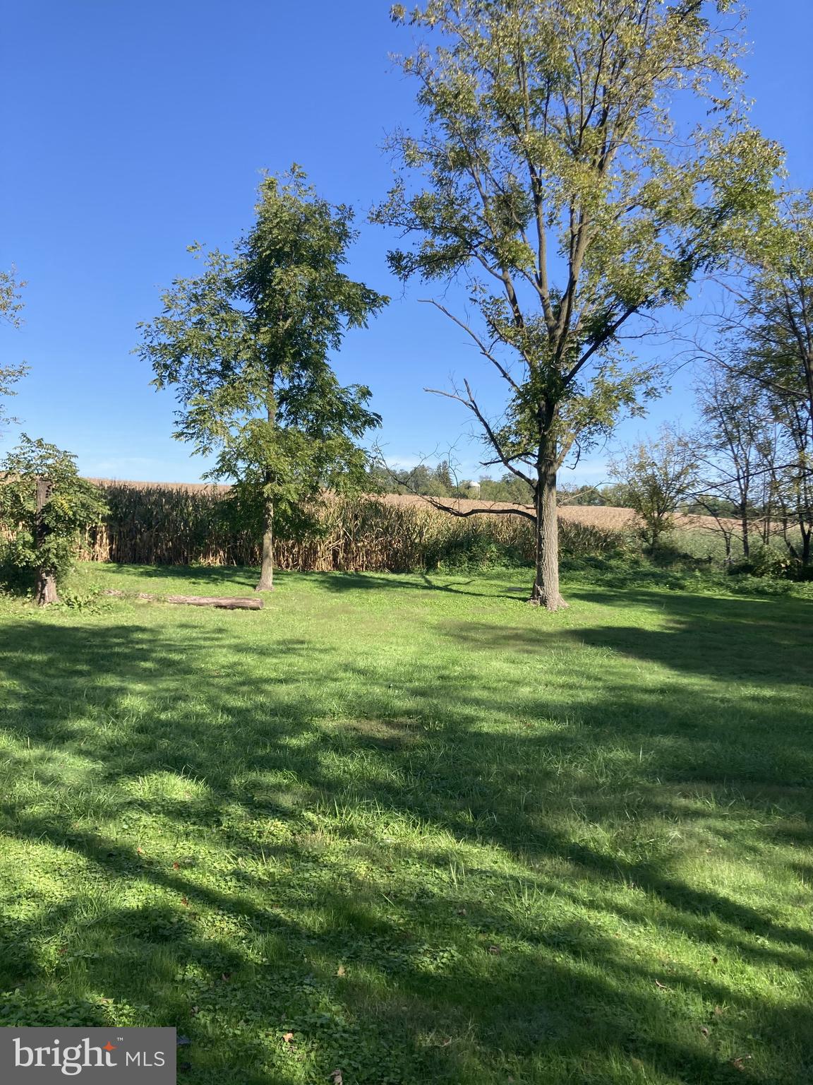 115 Poplar Tree Road Kennett Square, PA 19348 - Photo 10 of 11 Gallery Image 10
