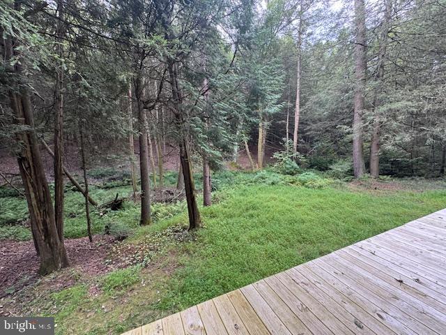 906 Coopers Gap Road Reedsville, PA 17084 - Photo 29 of 42 View From Rear Deck
