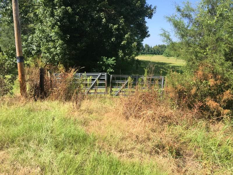 2 Tank Road, Unit 49631172 Terry, MS 39170 - Photo 1 of 1 Photo 1