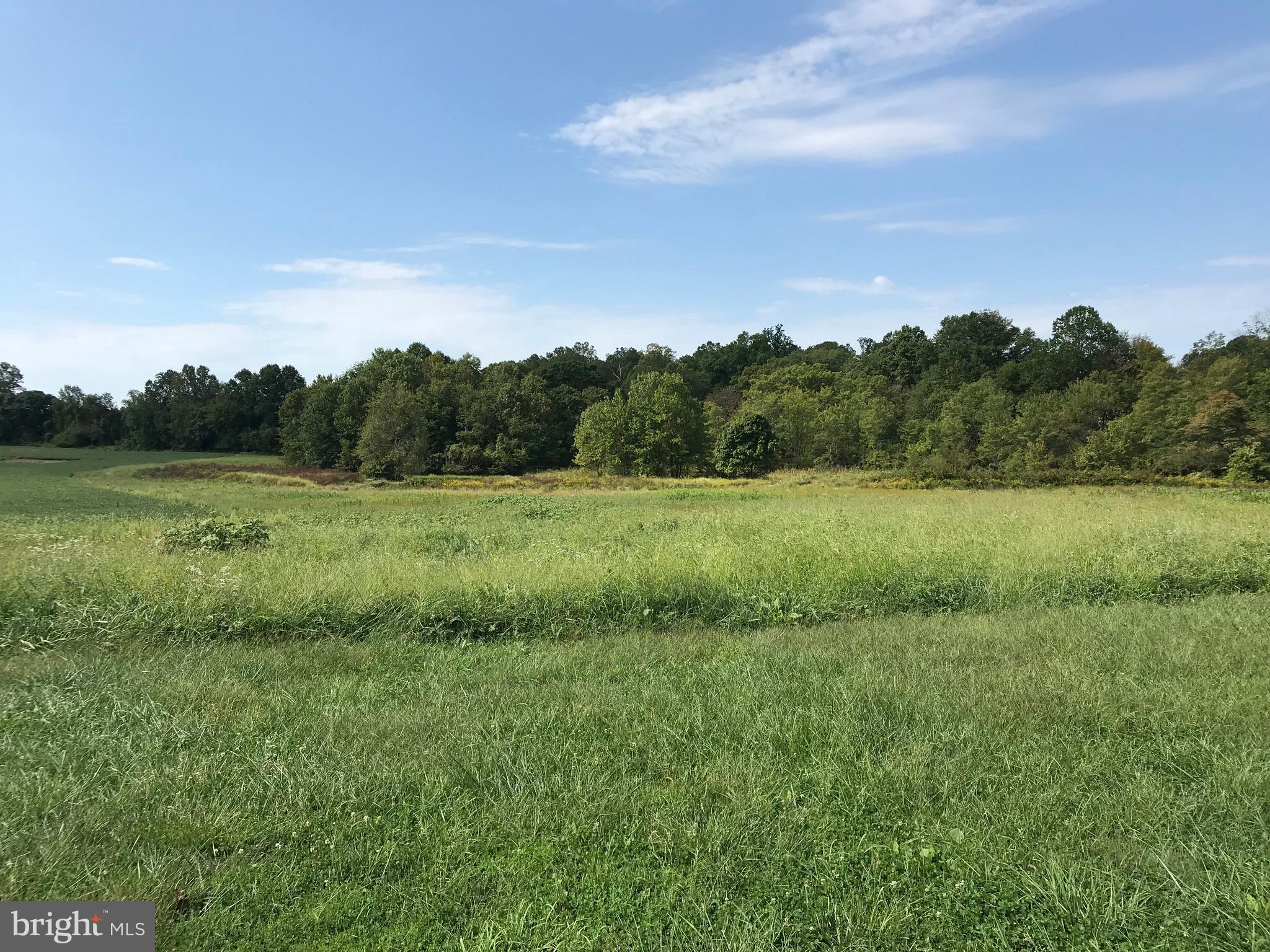 28800 Kemptown Road Damascus, MD 20872 - Photo 11 of 14