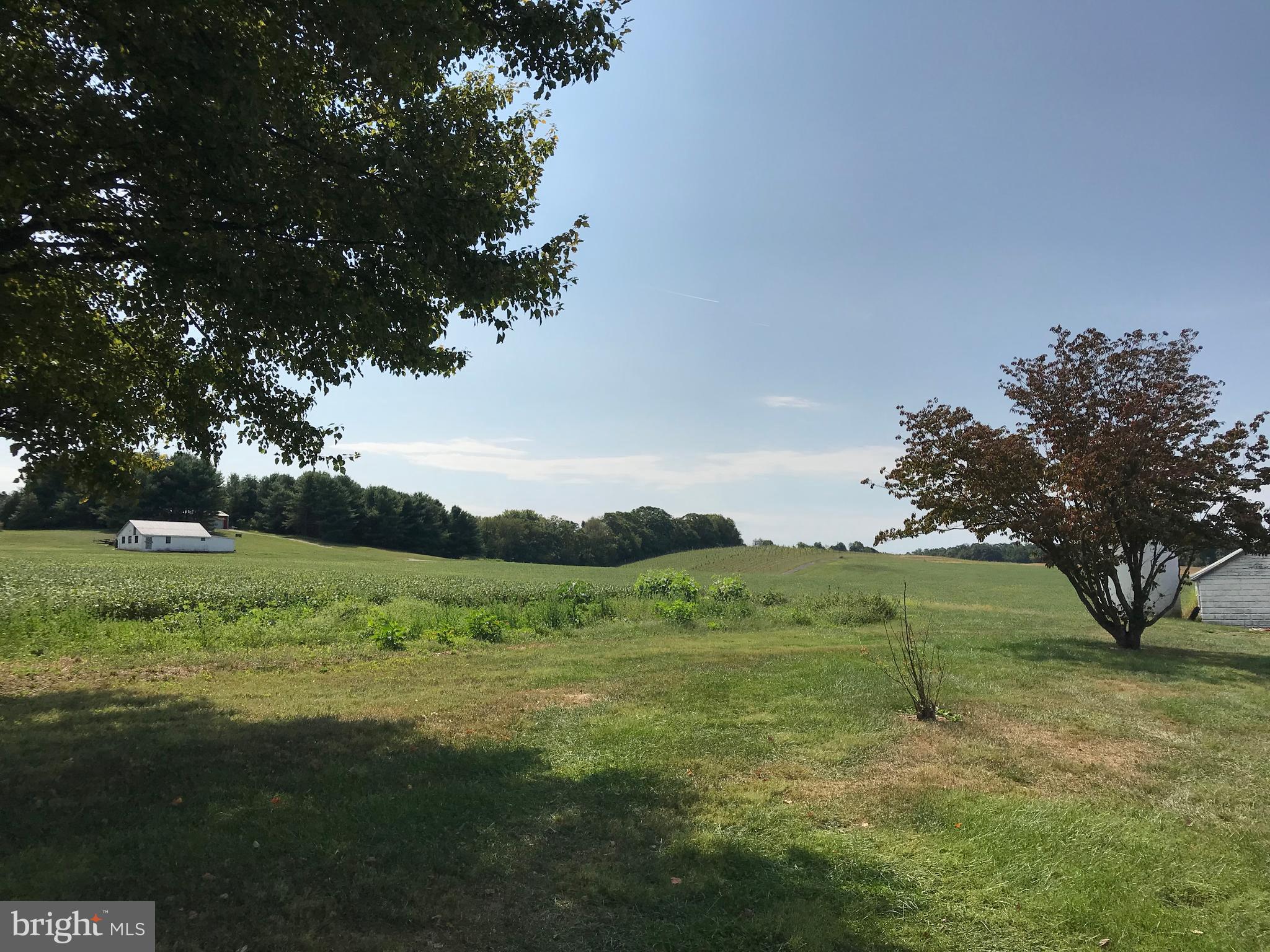 28800 Kemptown Road Damascus, MD 20872 - Photo 12 of 14