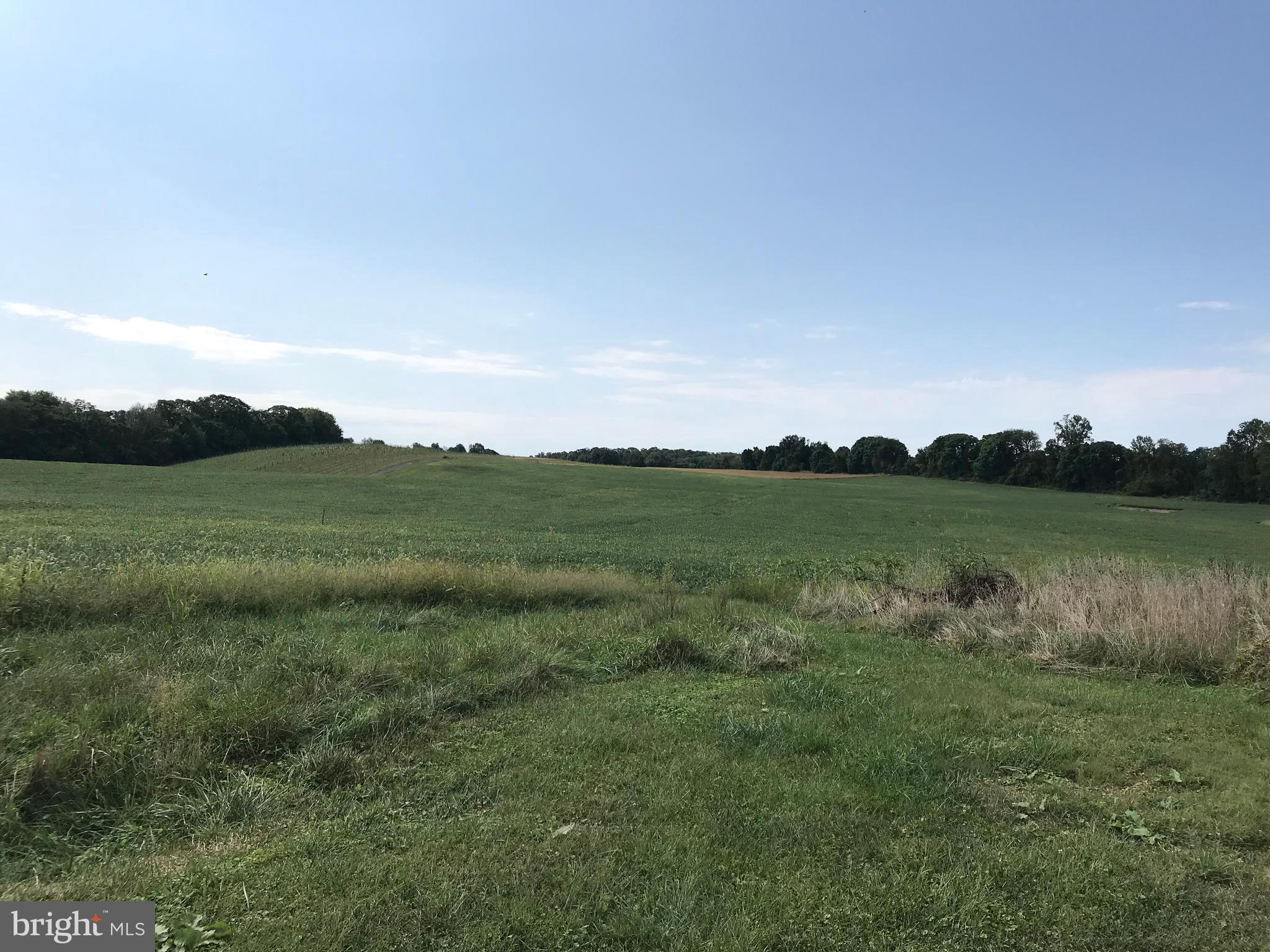 28800 Kemptown Road Damascus, MD 20872 - Photo 10 of 14
